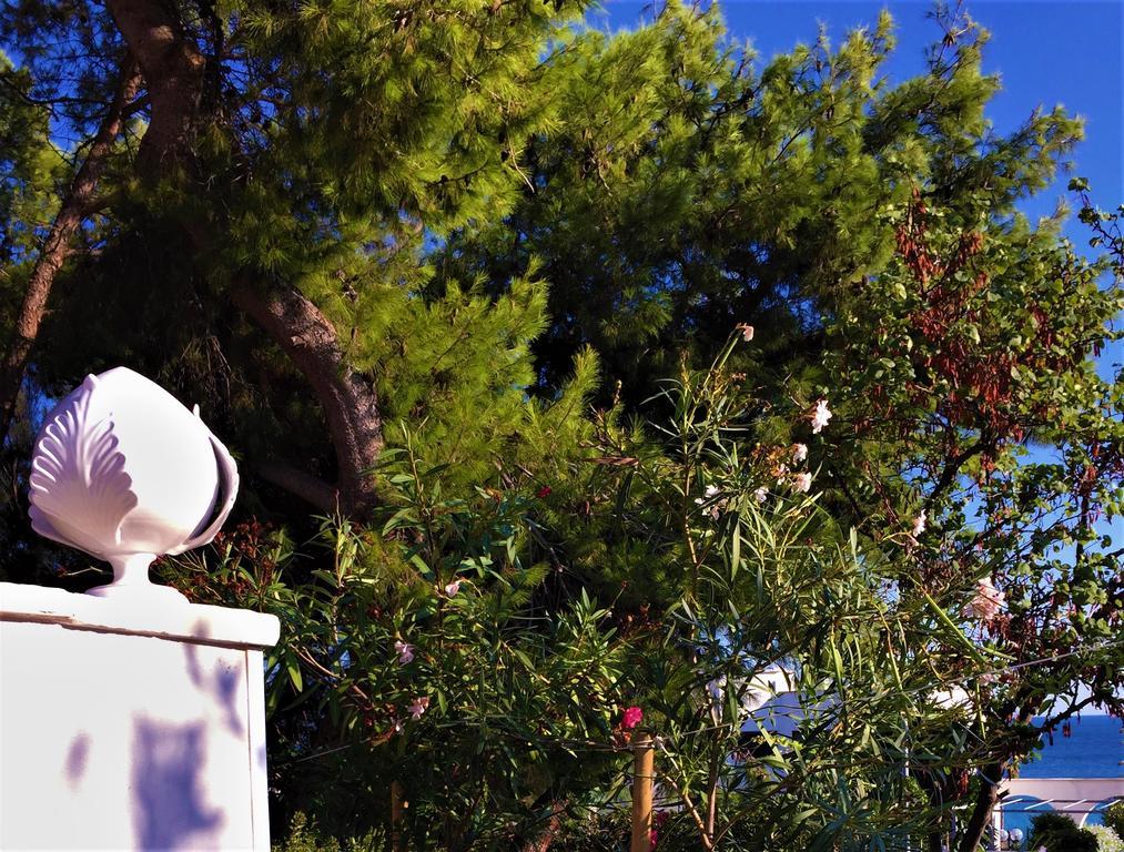 Le Due Pigne (Adults Only) Vila Taranto Exterior foto