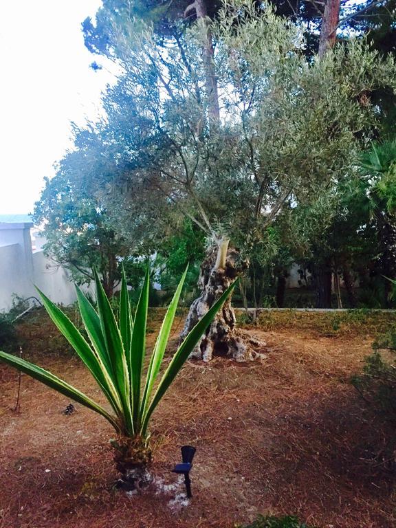 Le Due Pigne (Adults Only) Vila Taranto Exterior foto
