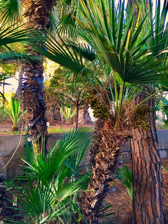 Le Due Pigne (Adults Only) Vila Taranto Exterior foto